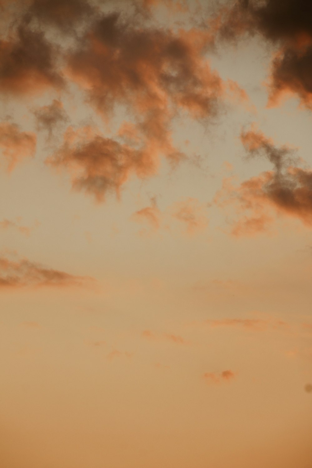 a plane flying in the sky at sunset