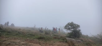 A group of players in rugged gear standing watchful in a misty, zombie-infested forest at dawn.