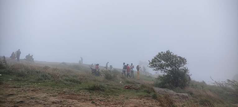 A group of players in rugged gear standing watchful in a misty, zombie-infested forest at dawn.