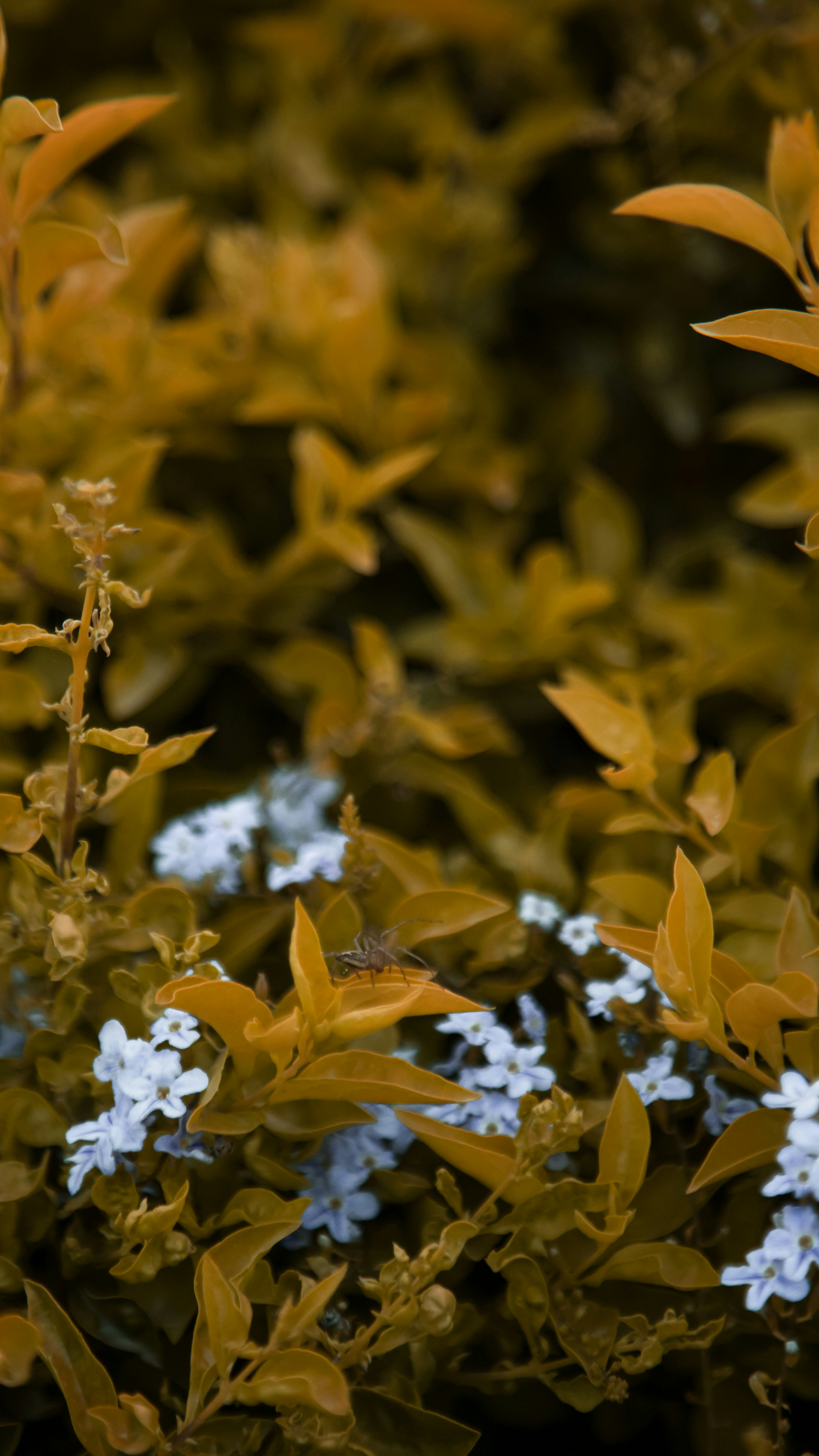 Photo by shhaayyoonn