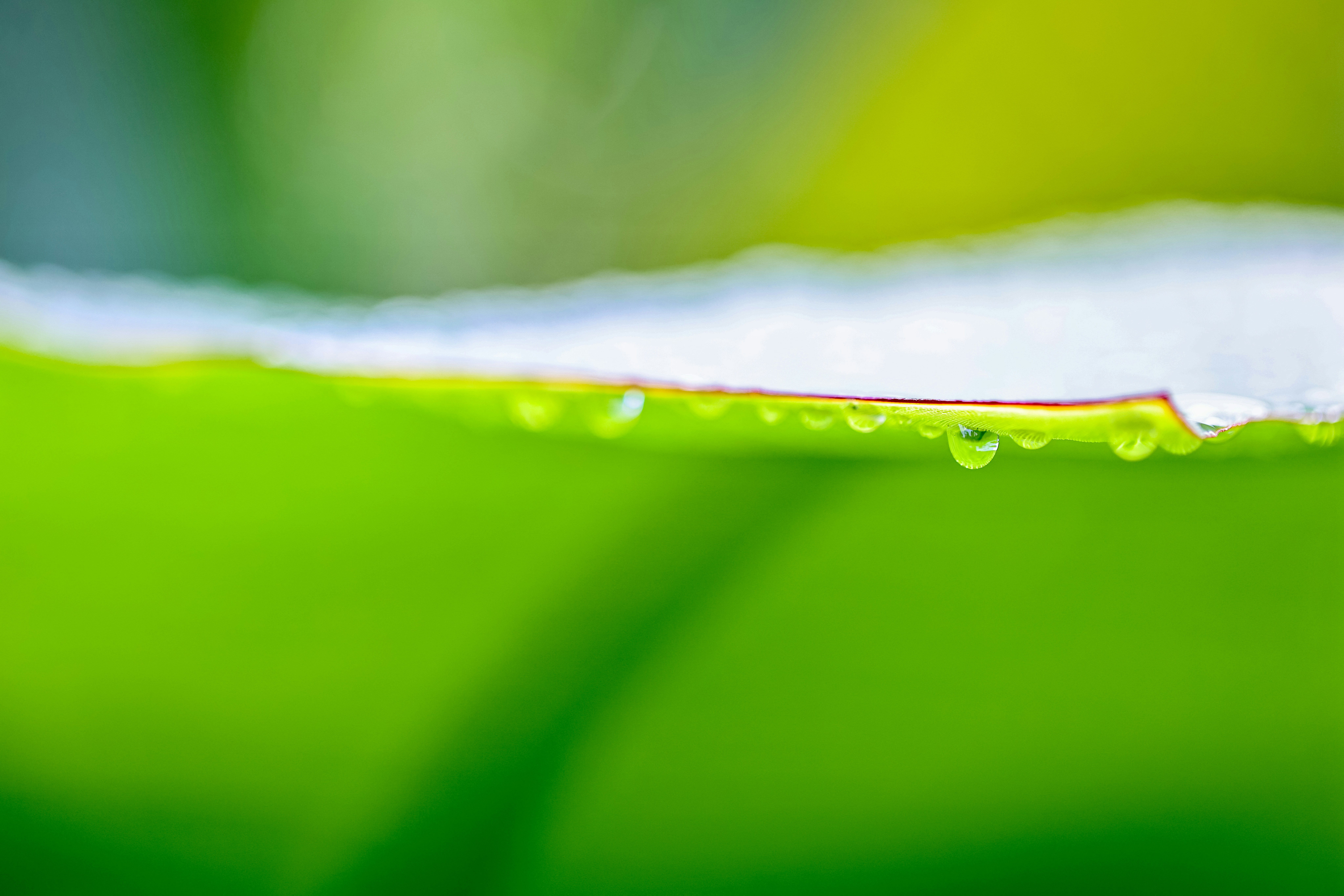 Photo by dickenslin76