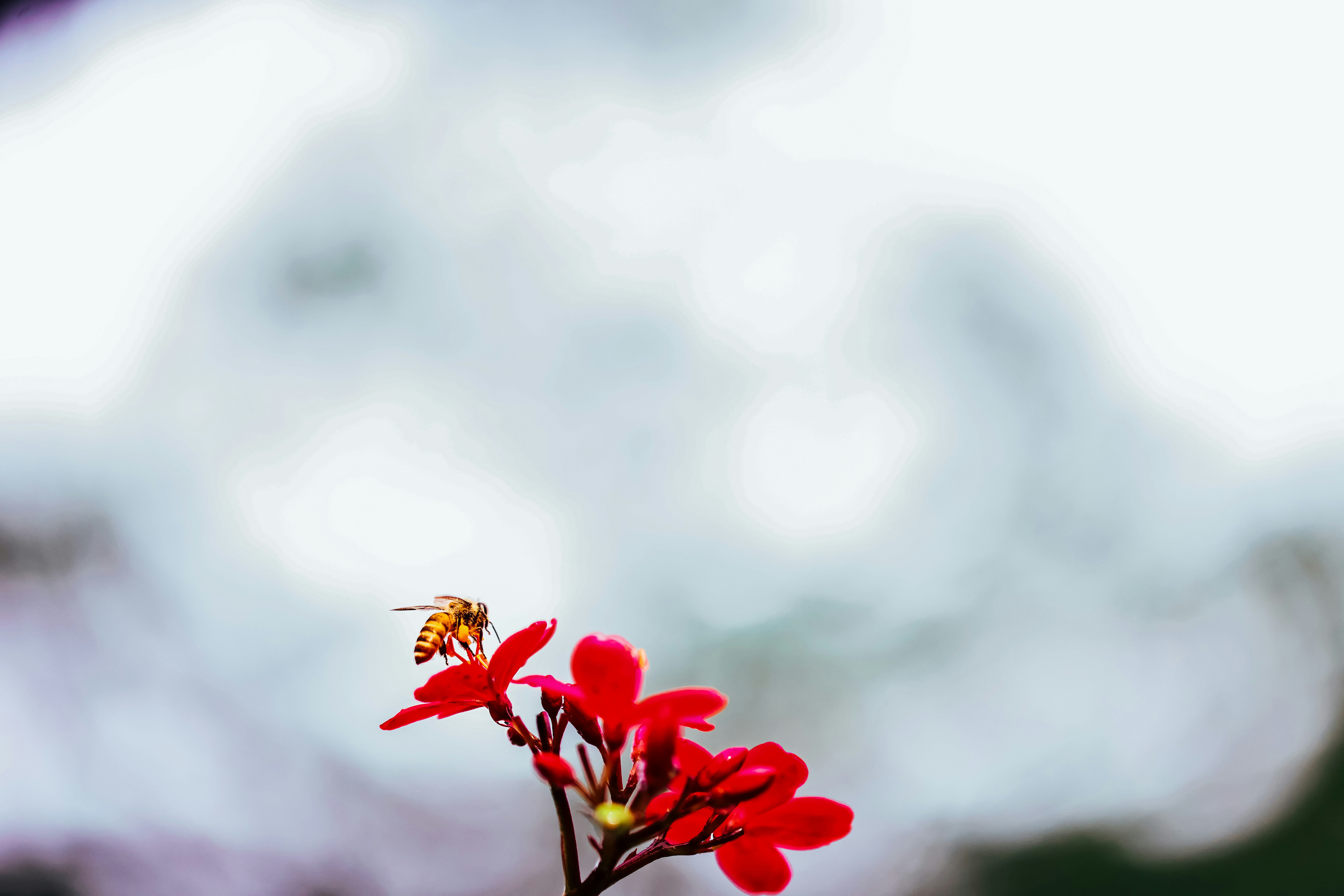 Photo by dickenslin76