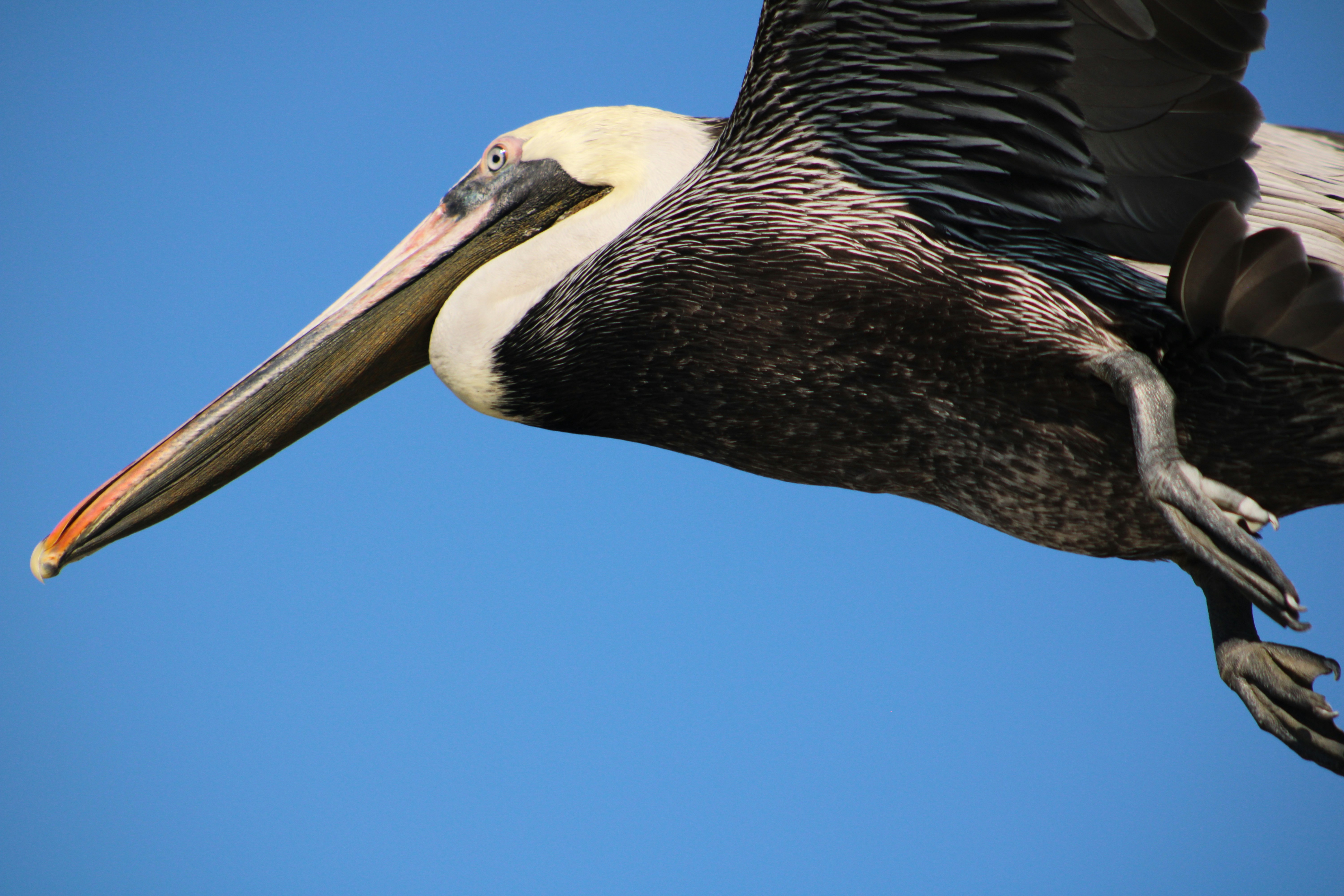 Photo by curriedflute