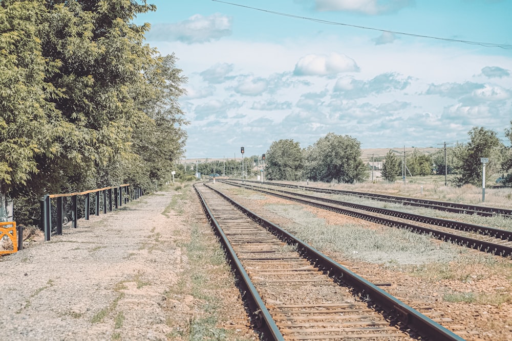 a train track next to a tree and a fence