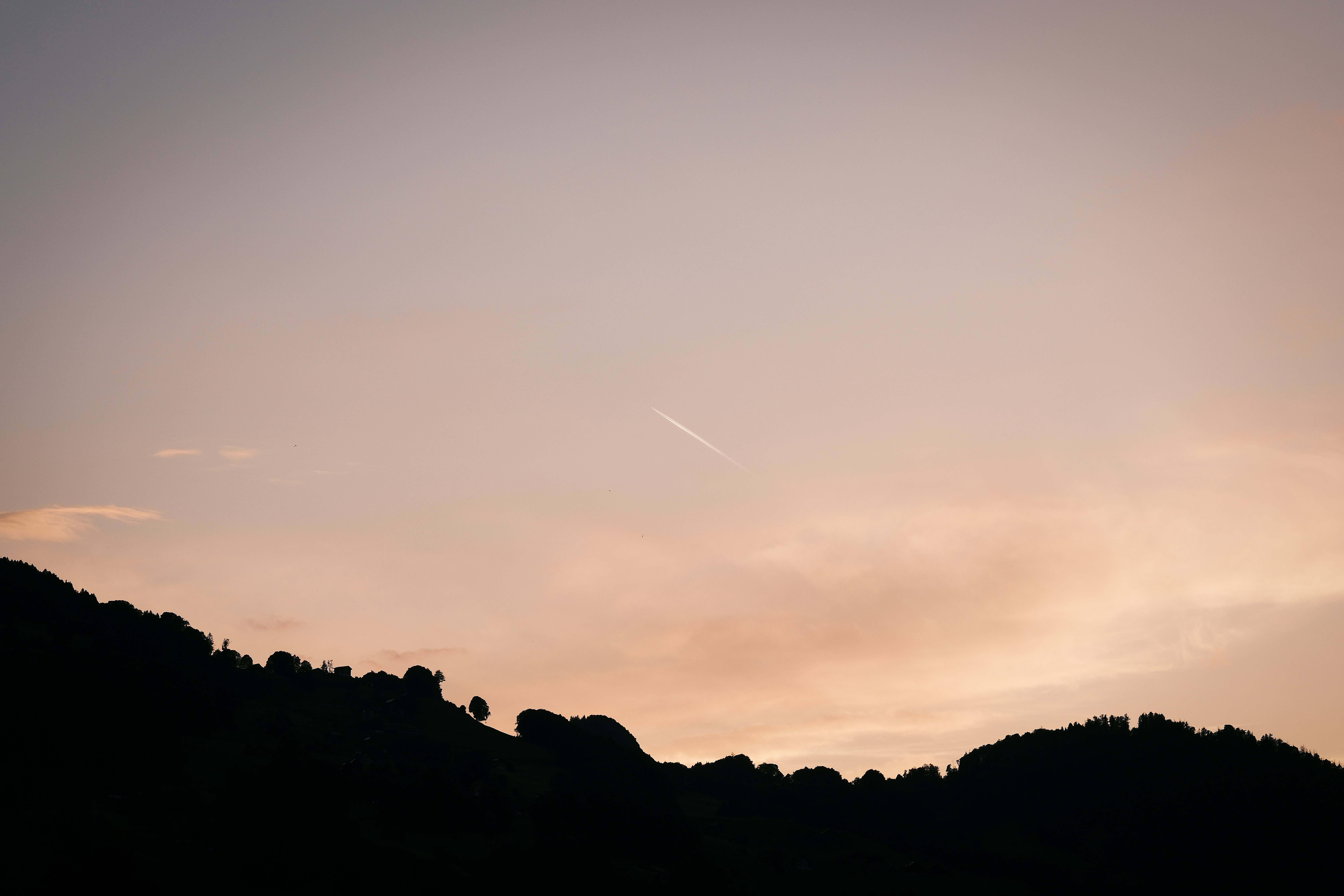 Photo by purzlbaum
