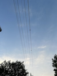 High voltage power lines stretch across the blue sky with a few clouds. A bird is perched on one of the lines, and tree tops are visible at the bottom.