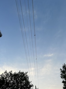 High voltage power lines stretch across the blue sky with a few clouds. A bird is perched on one of the lines, and tree tops are visible at the bottom.