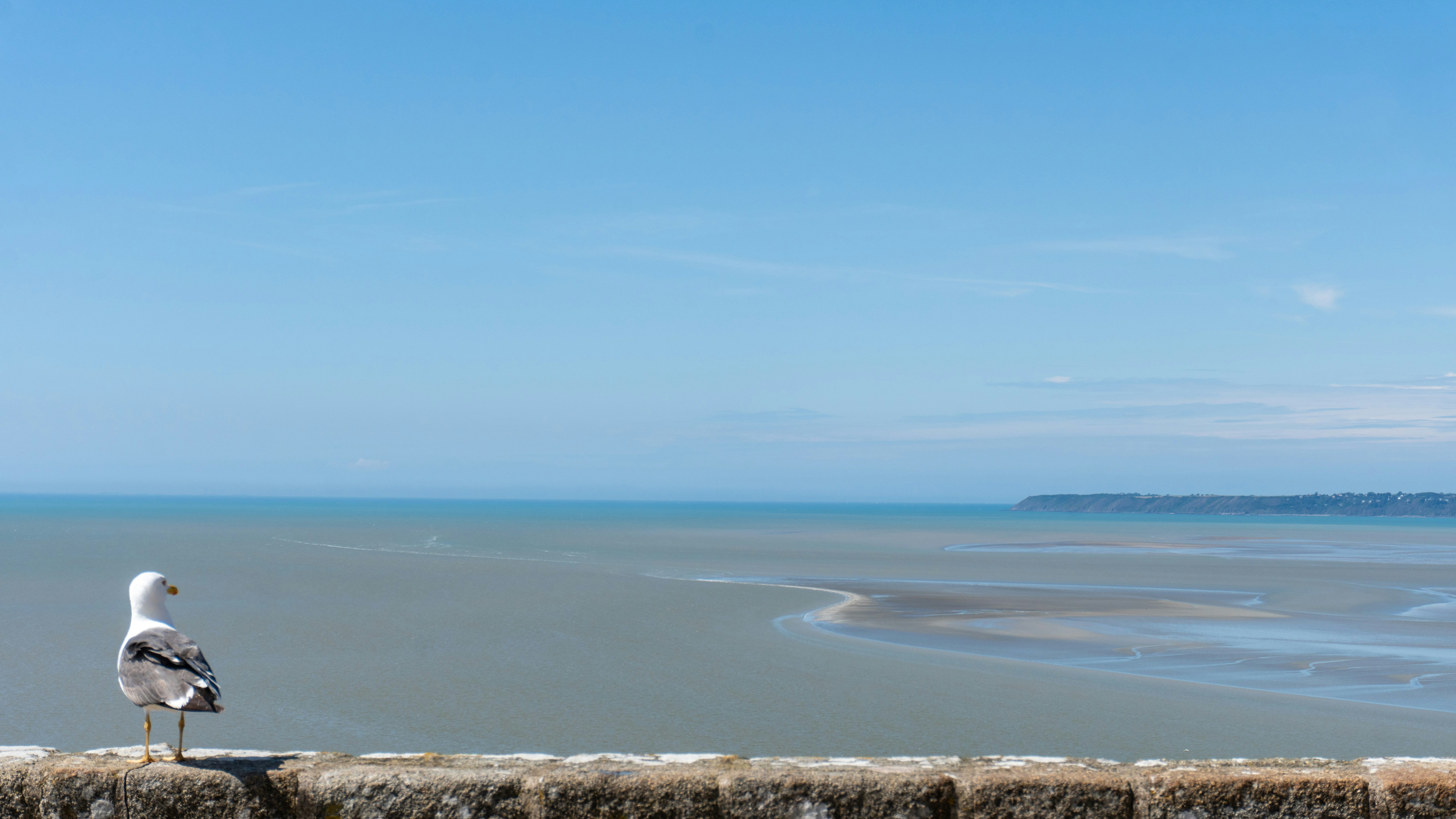 photo-1687180210669-efc902b629ff?ixid=M3wxMjA3fDB8MXxzZWFyY2h8MTh8fHBhYmlsaW9uJTIwbW9udCUyMGtpYXJhJTIwcGVudGhvdXNlfGVufDB8fHx8MTczODkwNjczNHww\u0026ixlib=rb-4.0.3