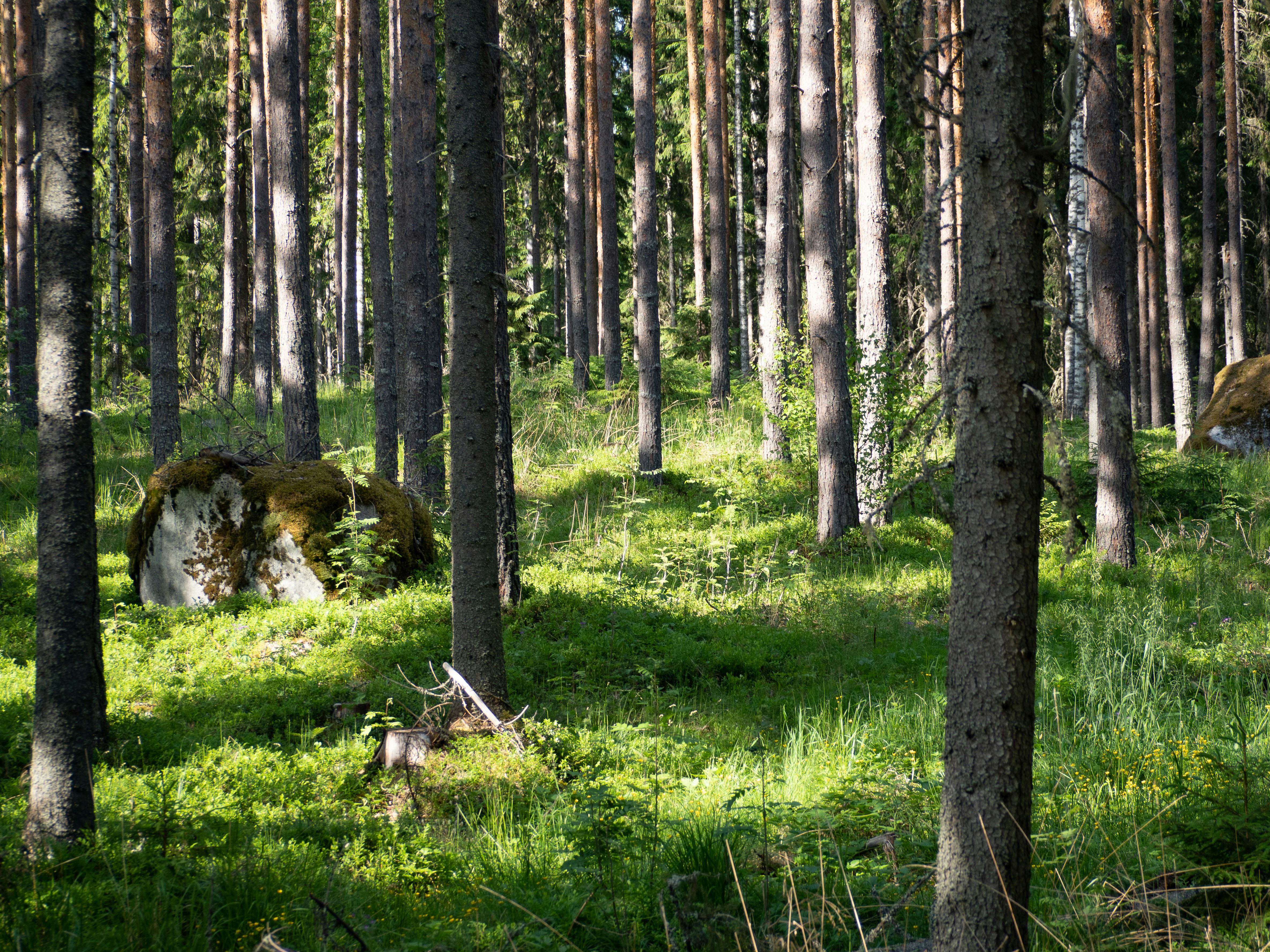 Photo by janifreelancing