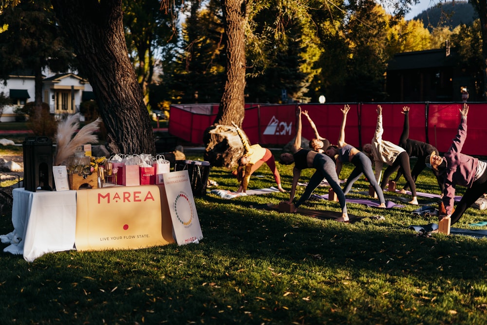 a group of people doing yoga in a park