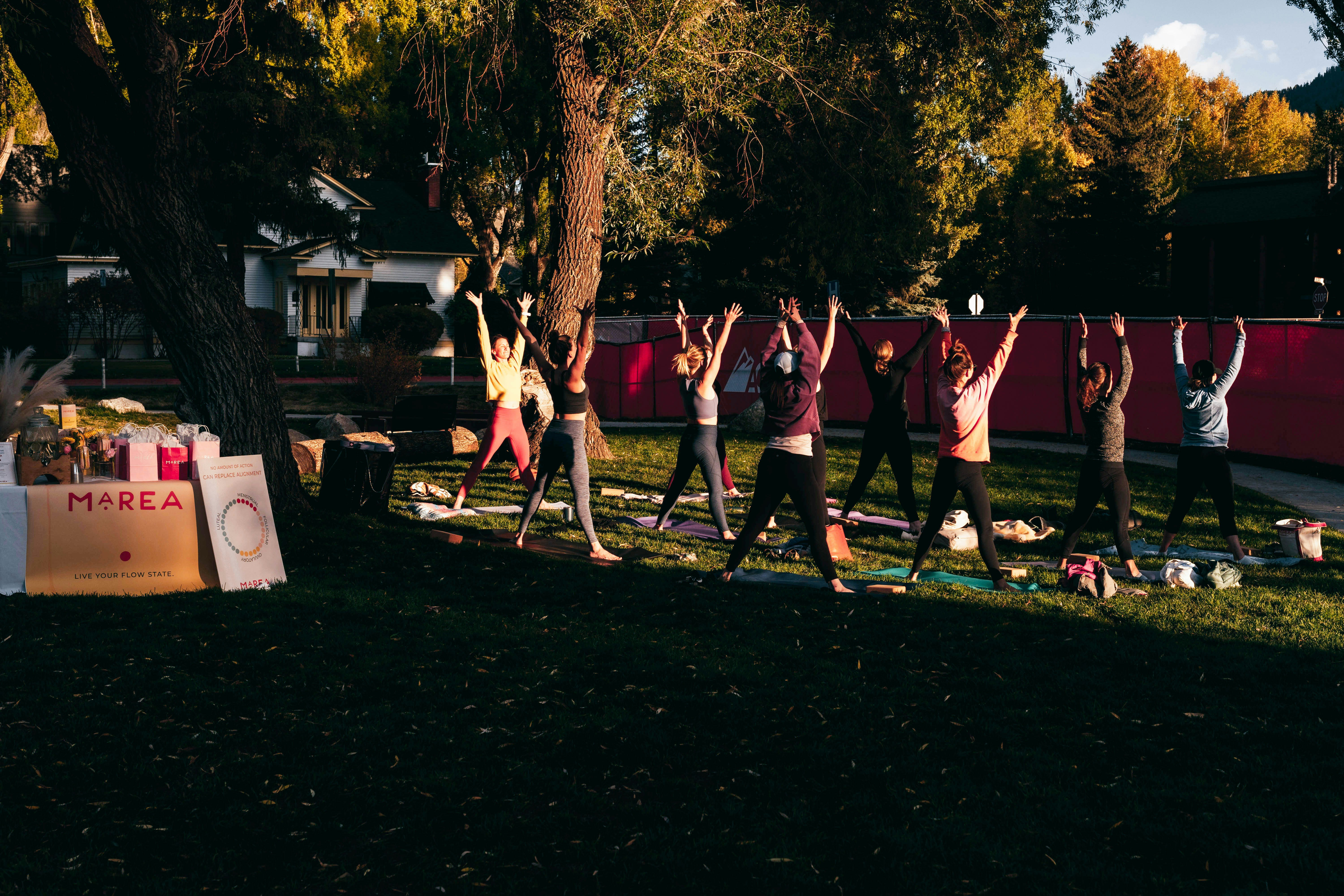 a group of people doing yoga in a park