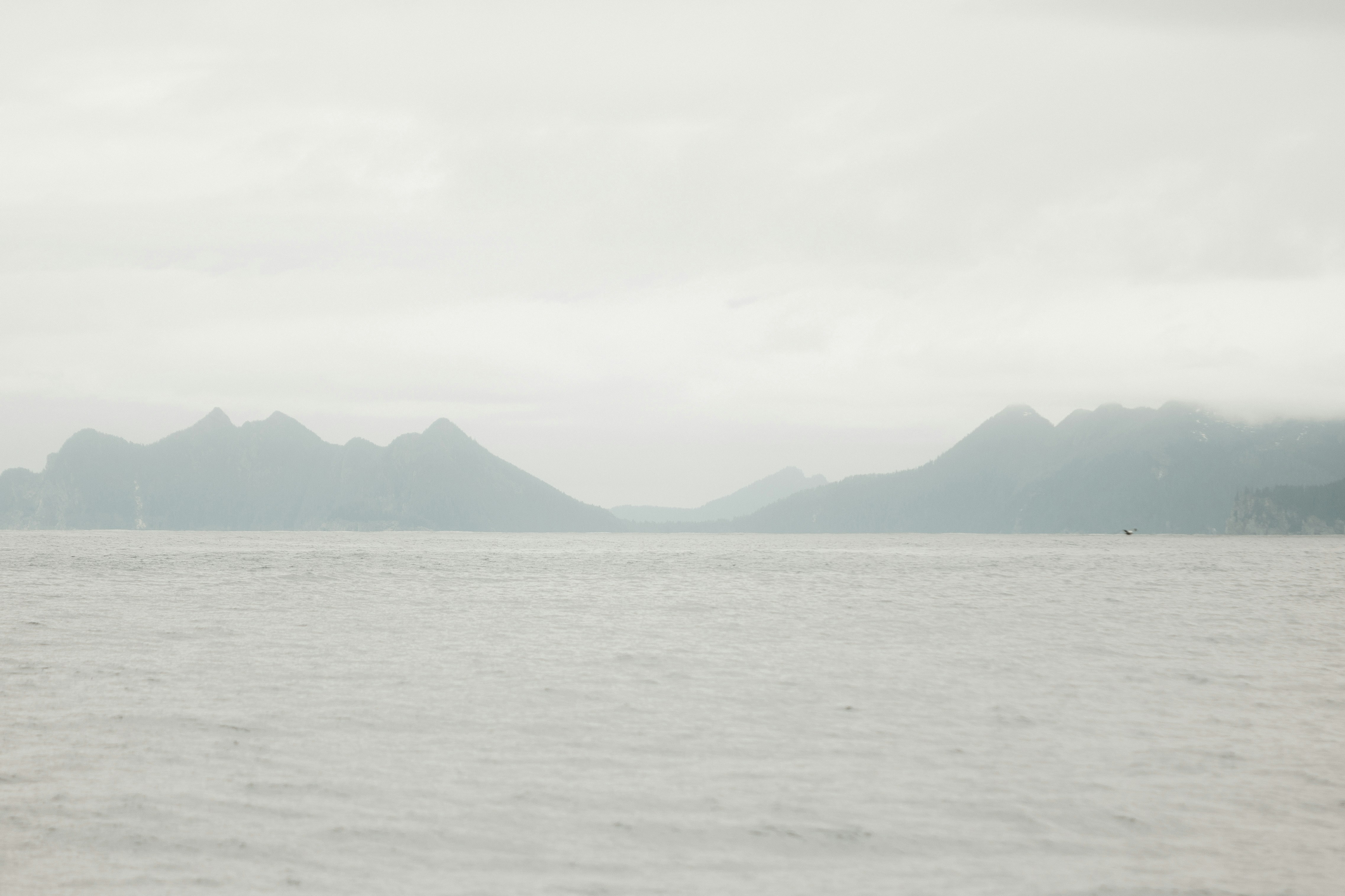 Photo by andrew_creative