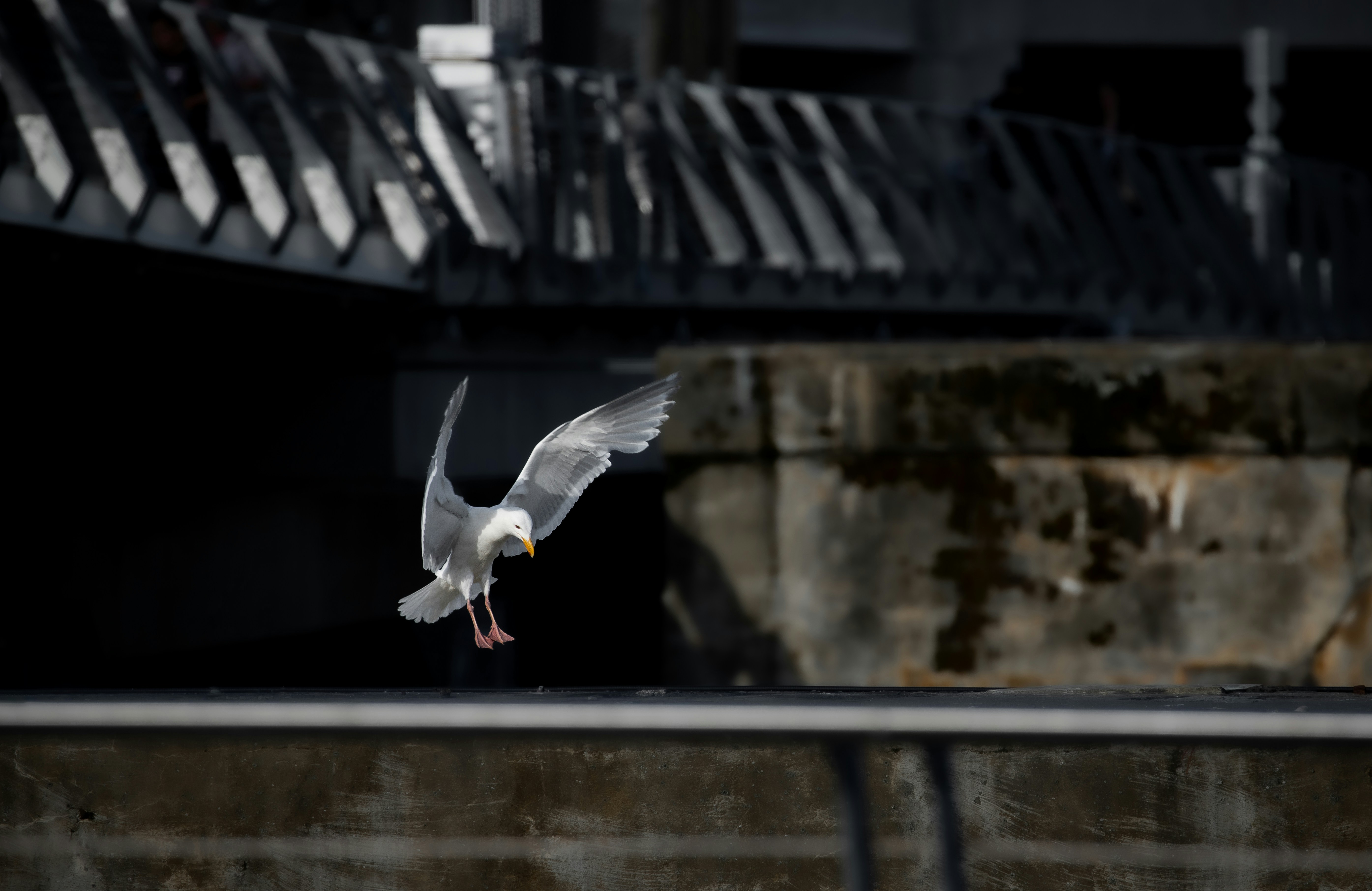 Looking Toward Tomorrow's Cities (image credits: unsplash)