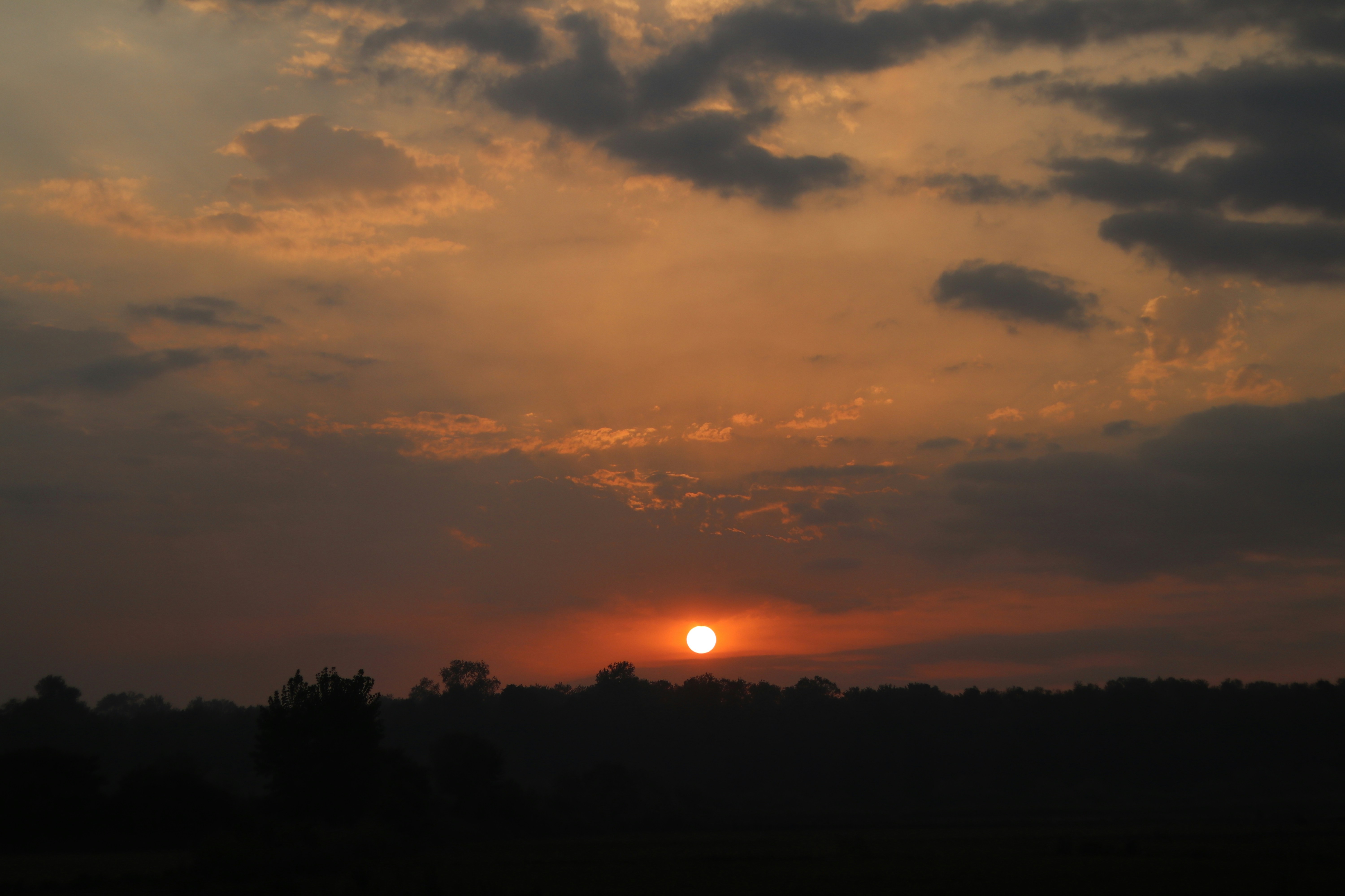 Photo by ehsan_barzegaran