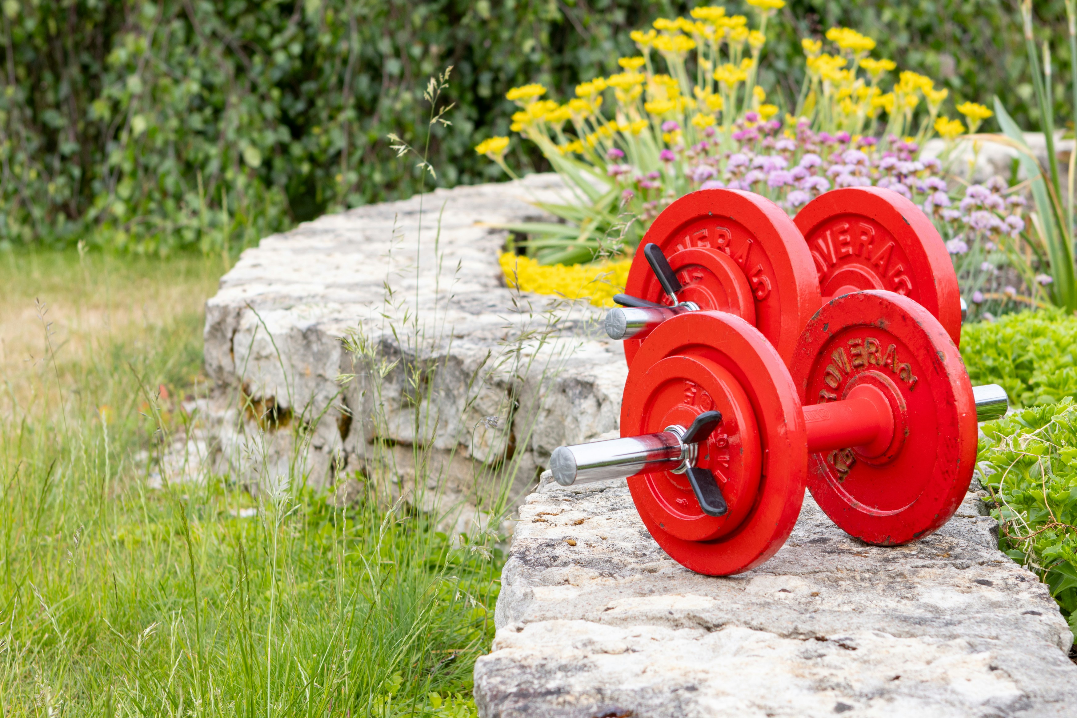 a pair of red dumbs sitting on top of a rock