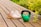 A close-up of lightweight shoes on a wooden deck with greenery in the background.