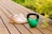 A close-up of lightweight shoes on a wooden deck with greenery in the background.