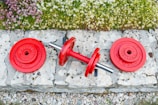 Set of colorful weight plates stacked neatly beside a sturdy barbell.