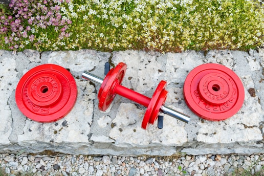a pair of red dumbbells sitting on a stone walkway