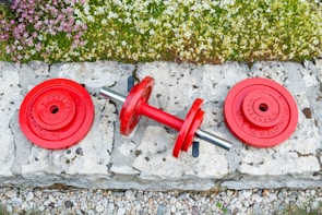 Set of colorful weight plates stacked neatly beside a sturdy barbell.