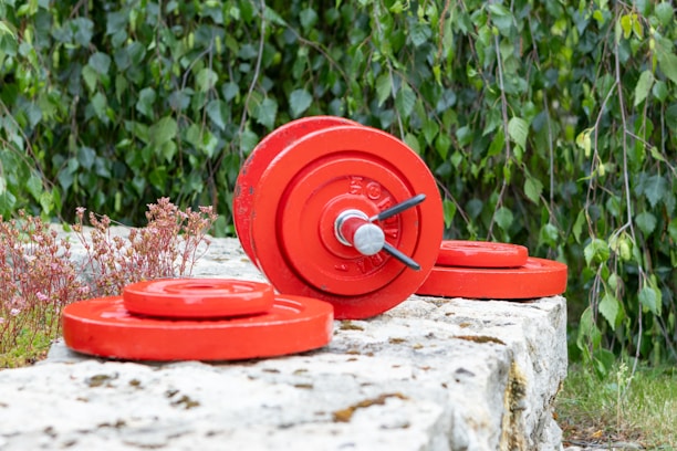 Several red weight plates and a barbell with a clip are placed on a stone surface. The backdrop consists of green, leafy plants and small patches of grass.