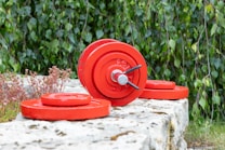 Several red weight plates and a barbell with a clip are placed on a stone surface. The backdrop consists of green, leafy plants and small patches of grass.