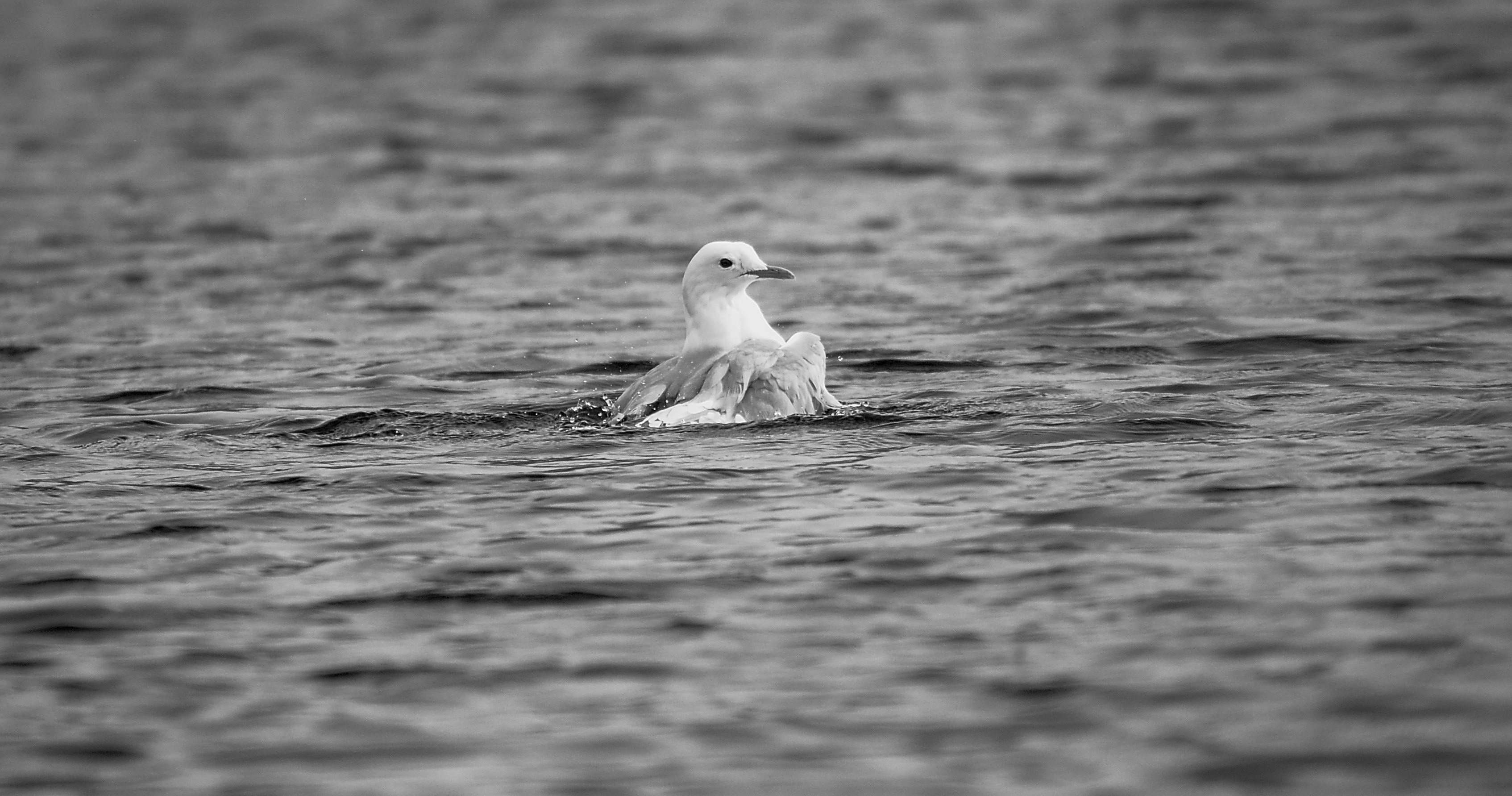 Photo by anna_storsul