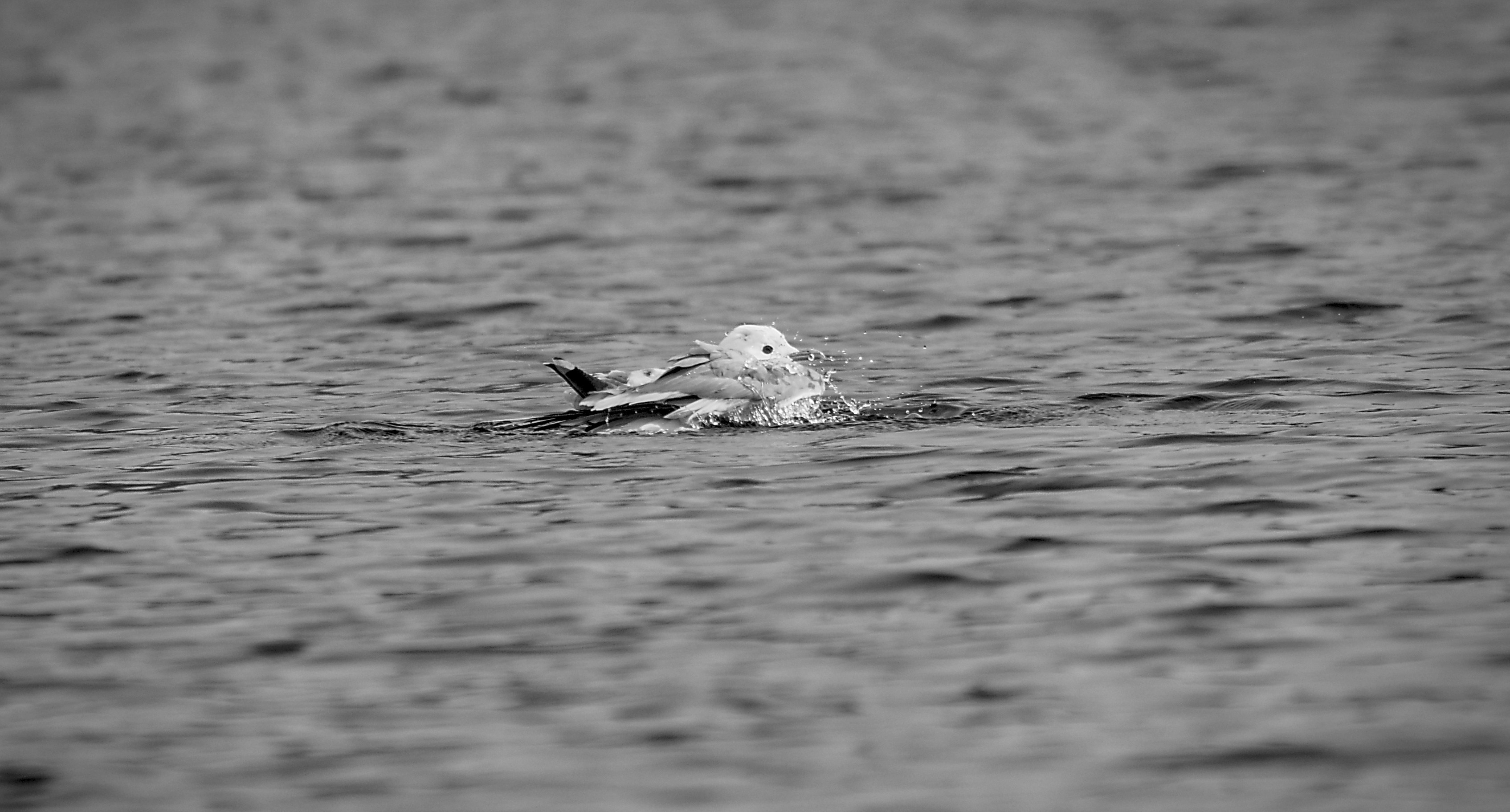 Photo by anna_storsul