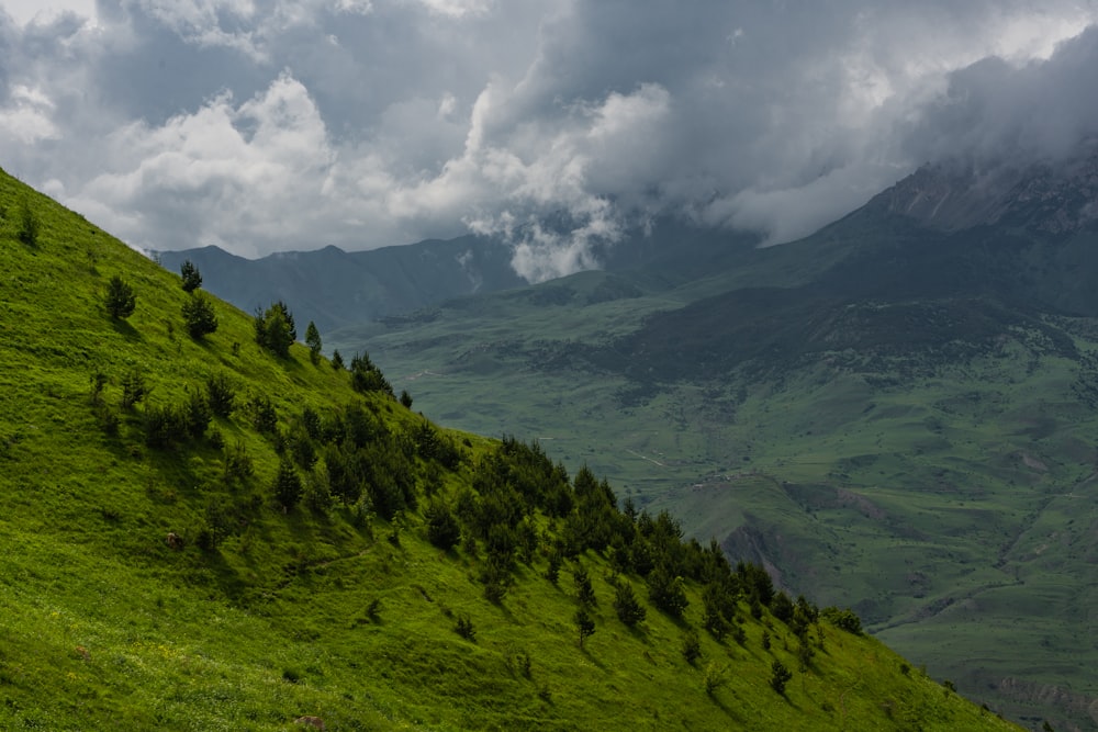 a lush green hillside under a cloudy sky