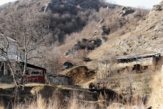A rural landscape with rugged hills and sparse vegetation in the background. In the foreground, there is a small house made of stone and wood, with a simple rural design. A tree with bare branches is visible near the house. The environment appears dry, with brown and muted colors.