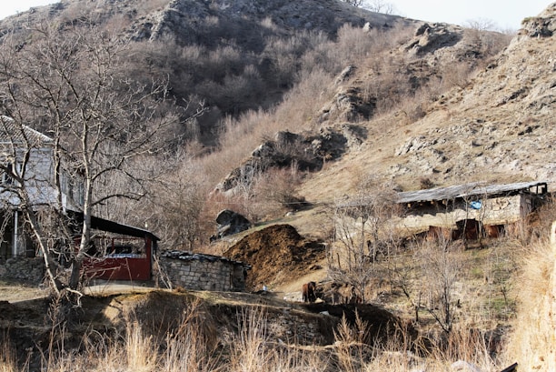 A rural landscape with rugged hills and sparse vegetation in the background. In the foreground, there is a small house made of stone and wood, with a simple rural design. A tree with bare branches is visible near the house. The environment appears dry, with brown and muted colors.