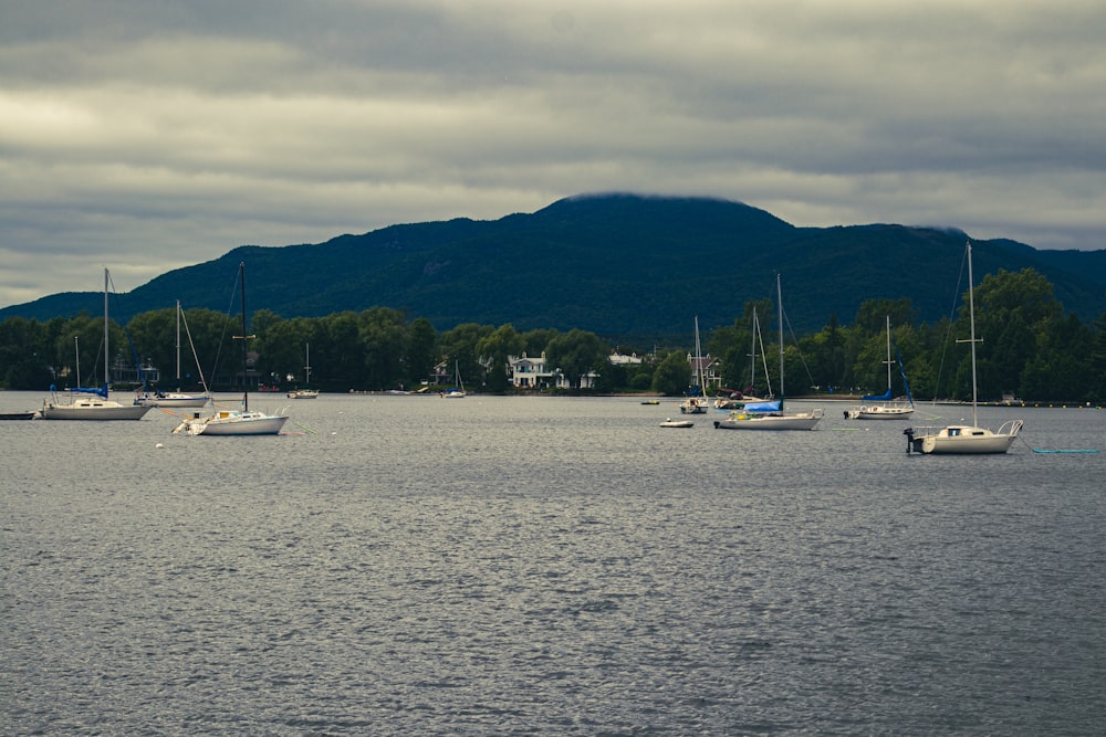 a group of boats floating on top of a lake