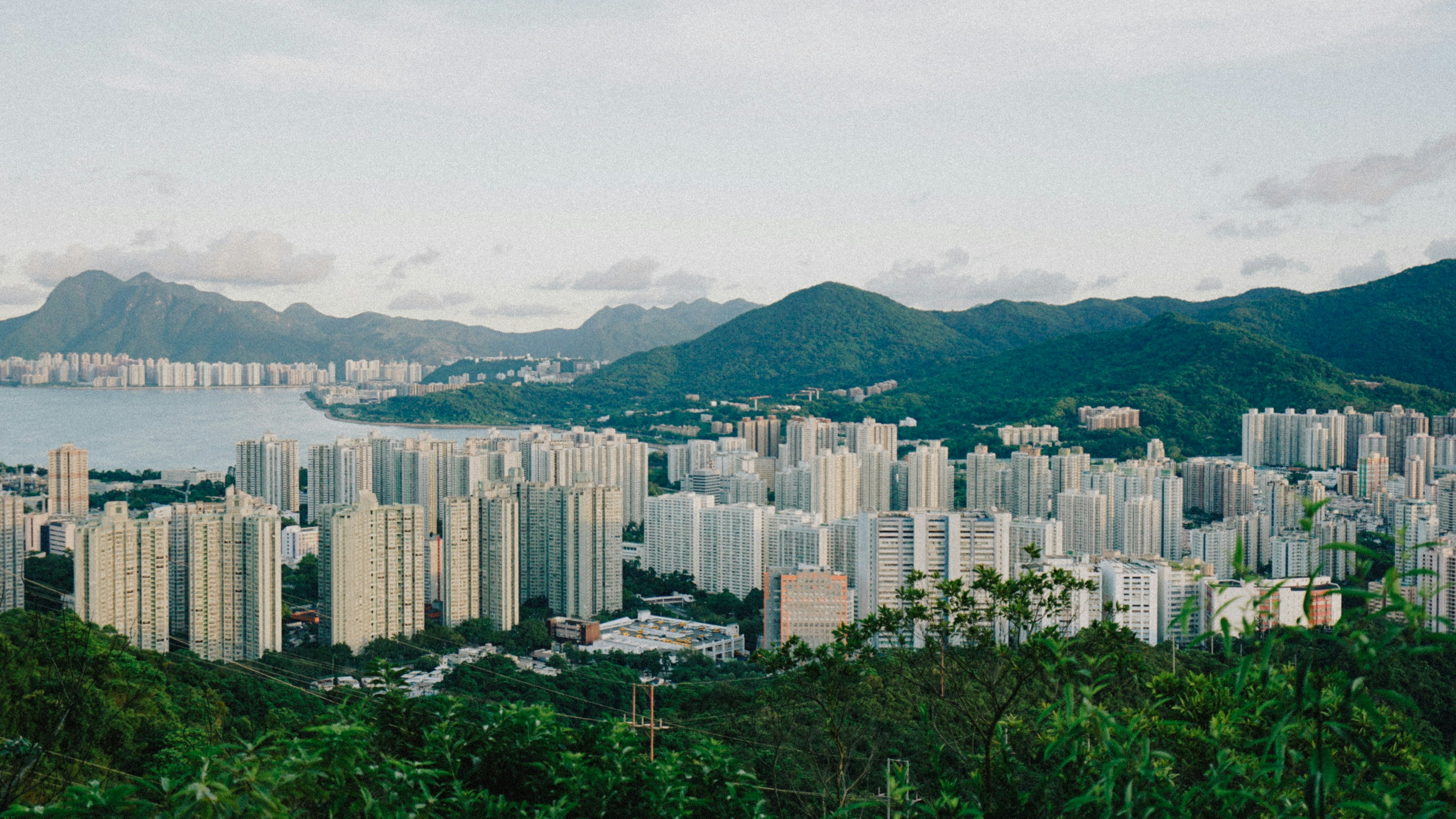 Photo by catgirlmutant