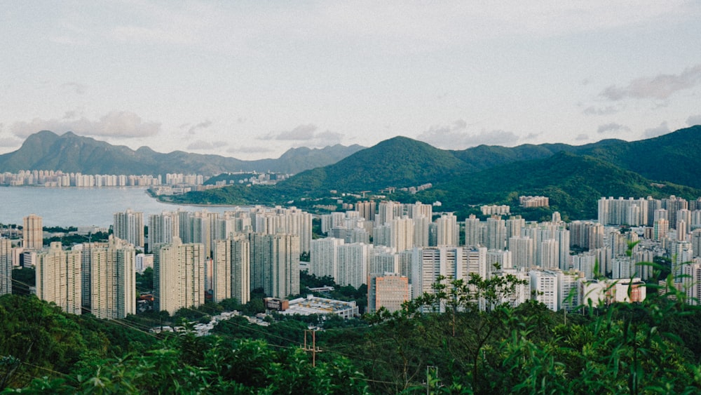 배경에 산이 있는 도시의 모습