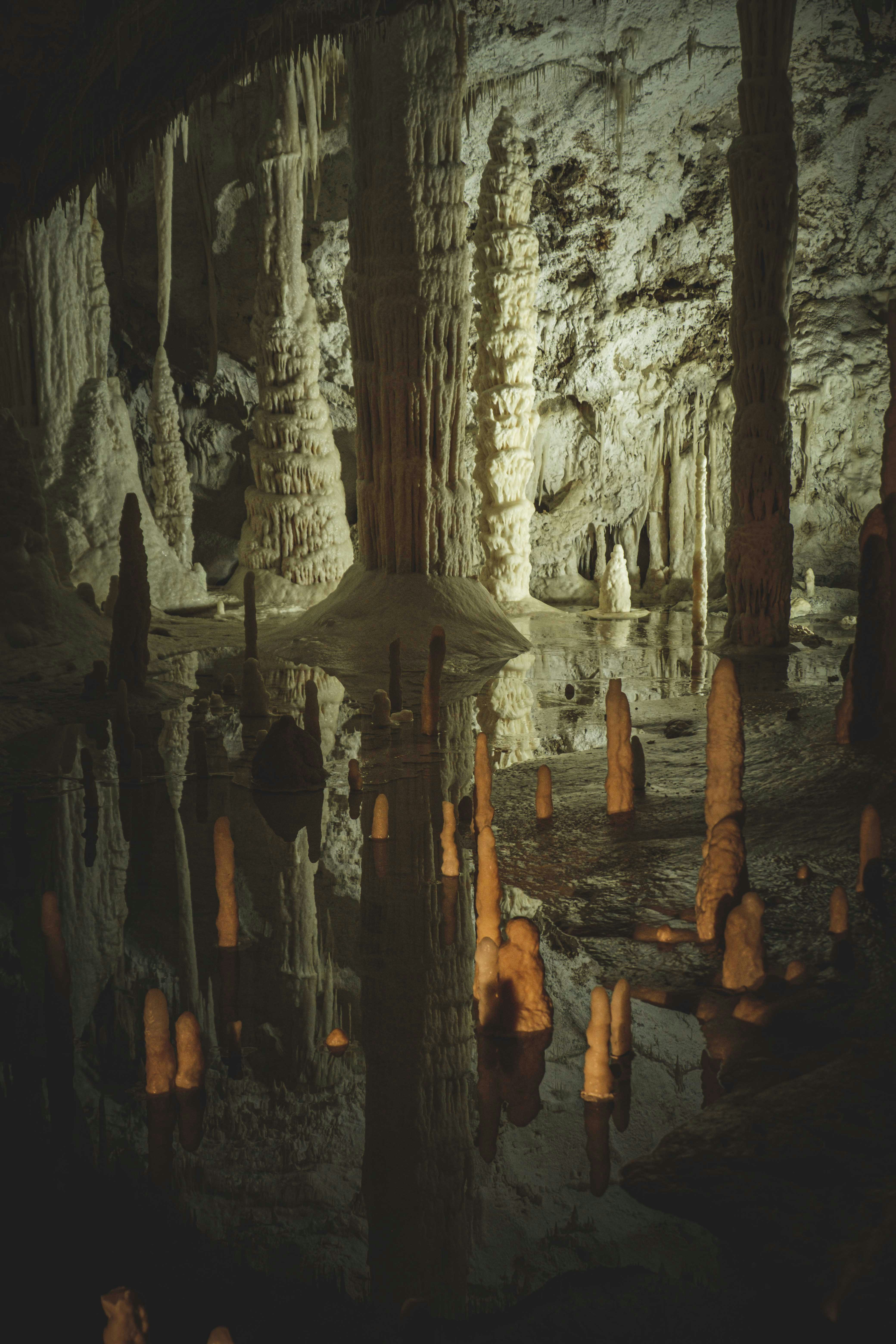 Photo by francesco_ungaro