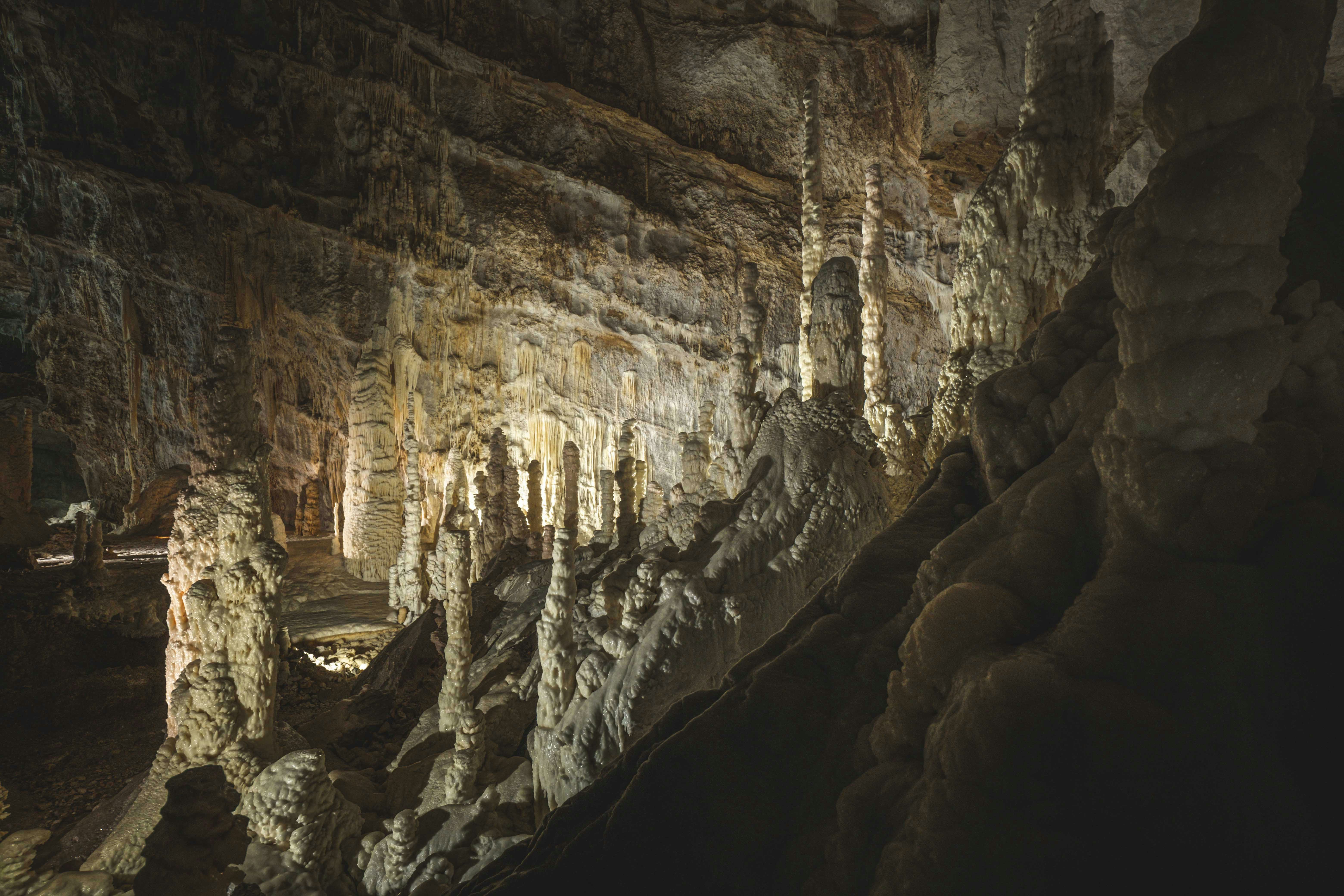 Photo by francesco_ungaro