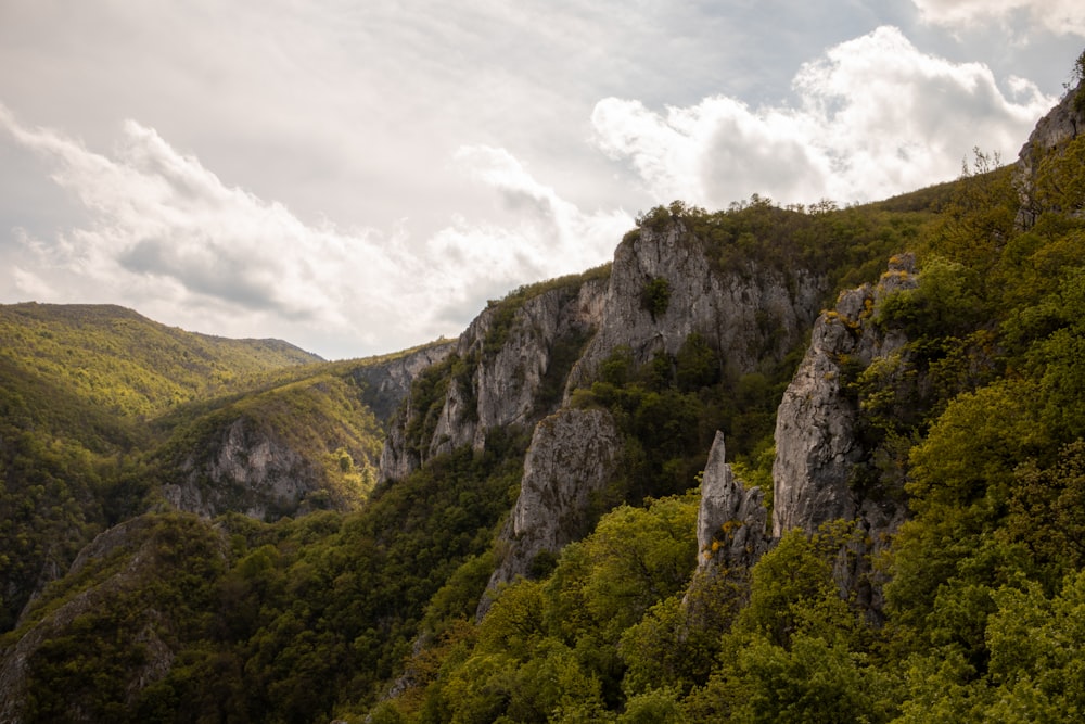Una vista de una ladera de montaña con árboles y montañas en el fondo