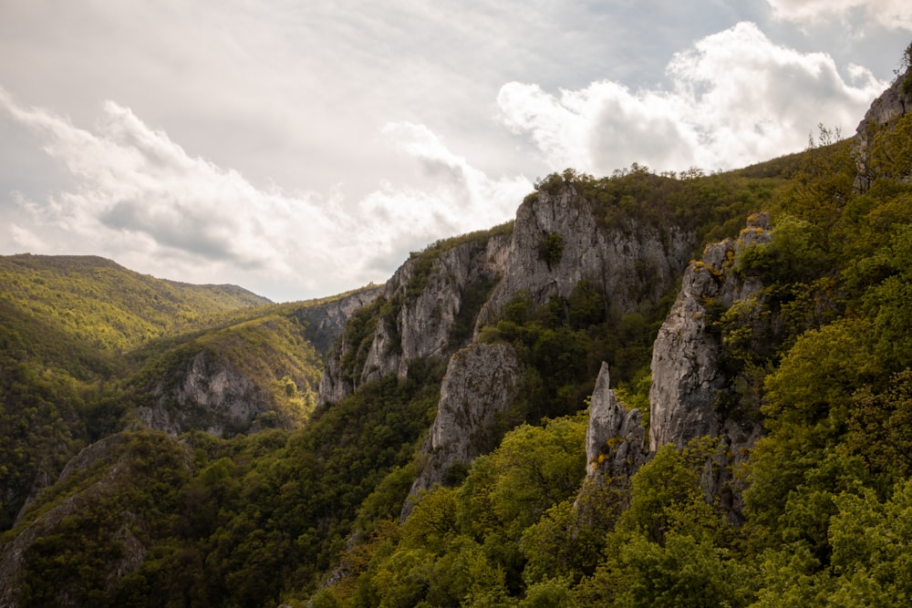 a view of a mountain side with trees and mountains in the background