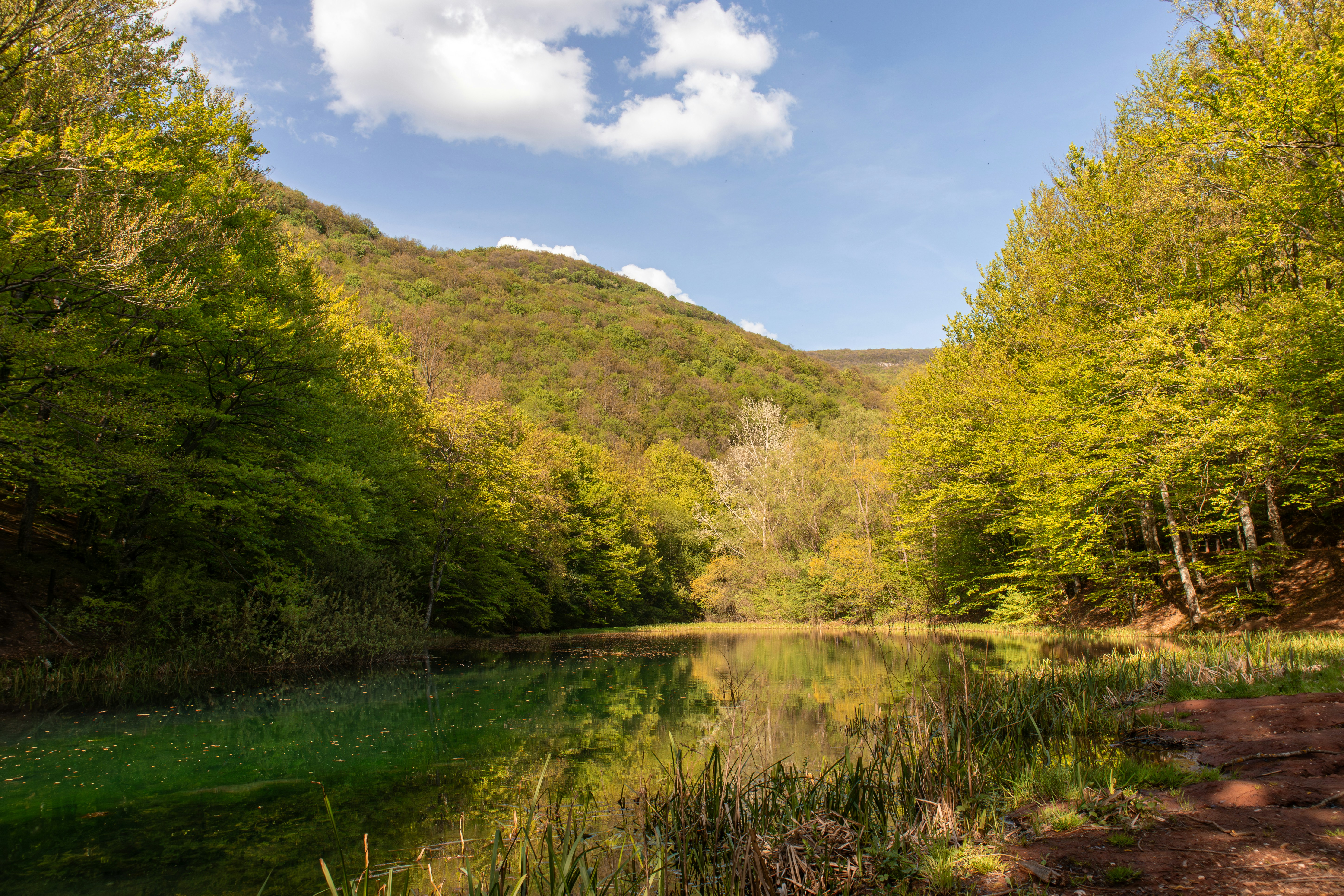 Photo by theboriginal