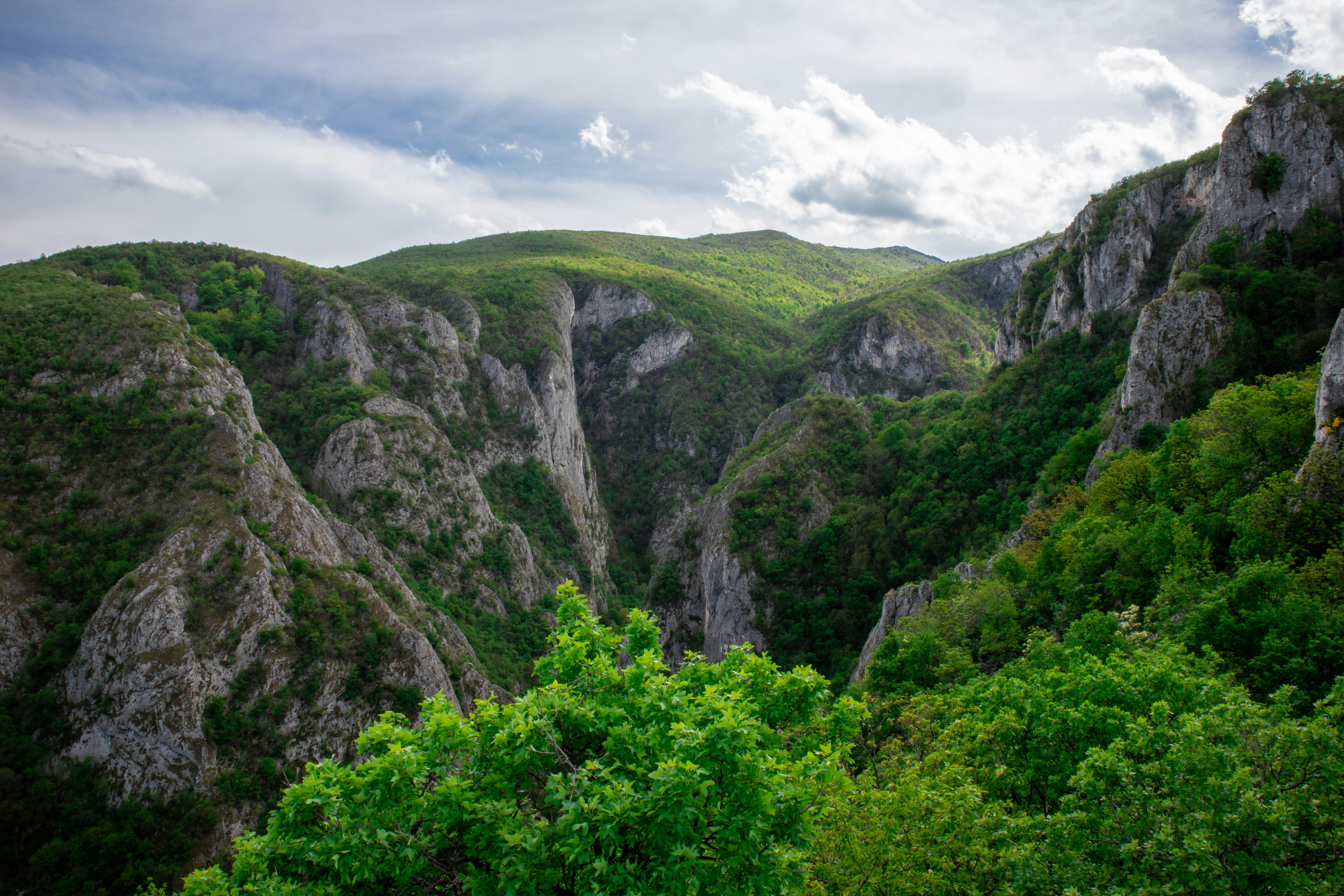 a view of a mountain range with trees in the foreground
