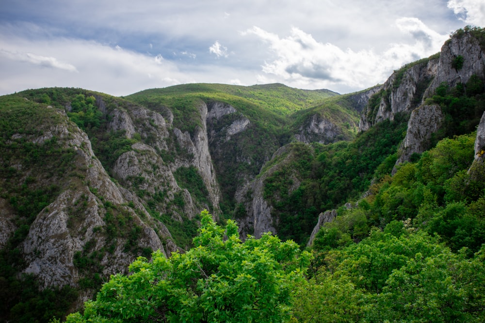 a view of a mountain range with trees in the foreground