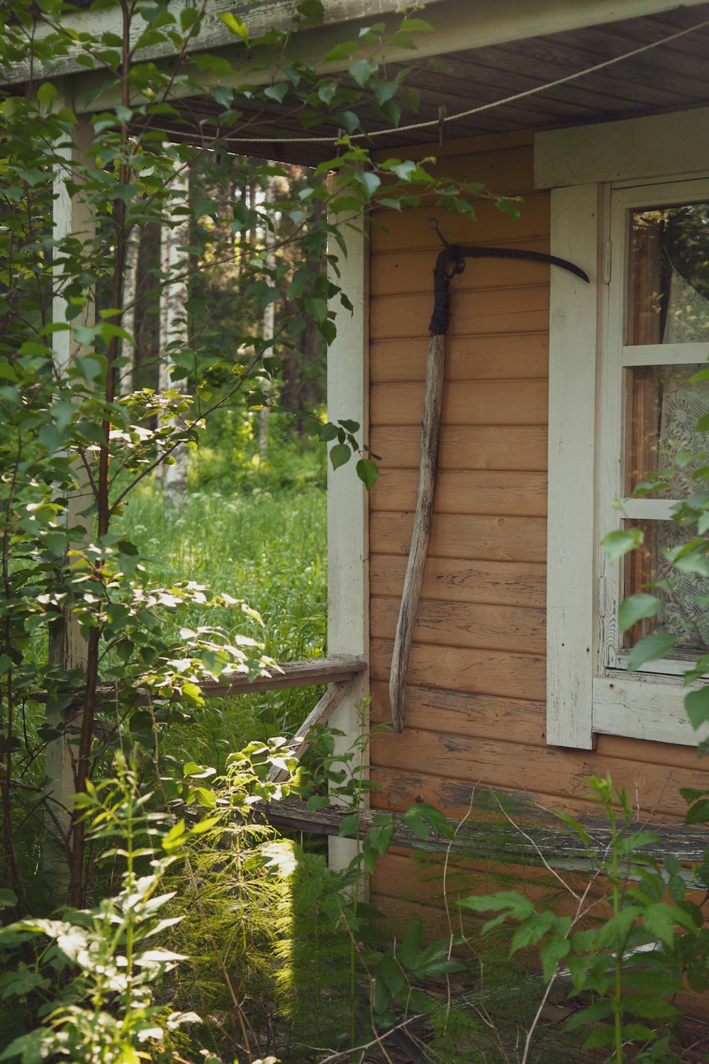 a small house in the woods with a broken window