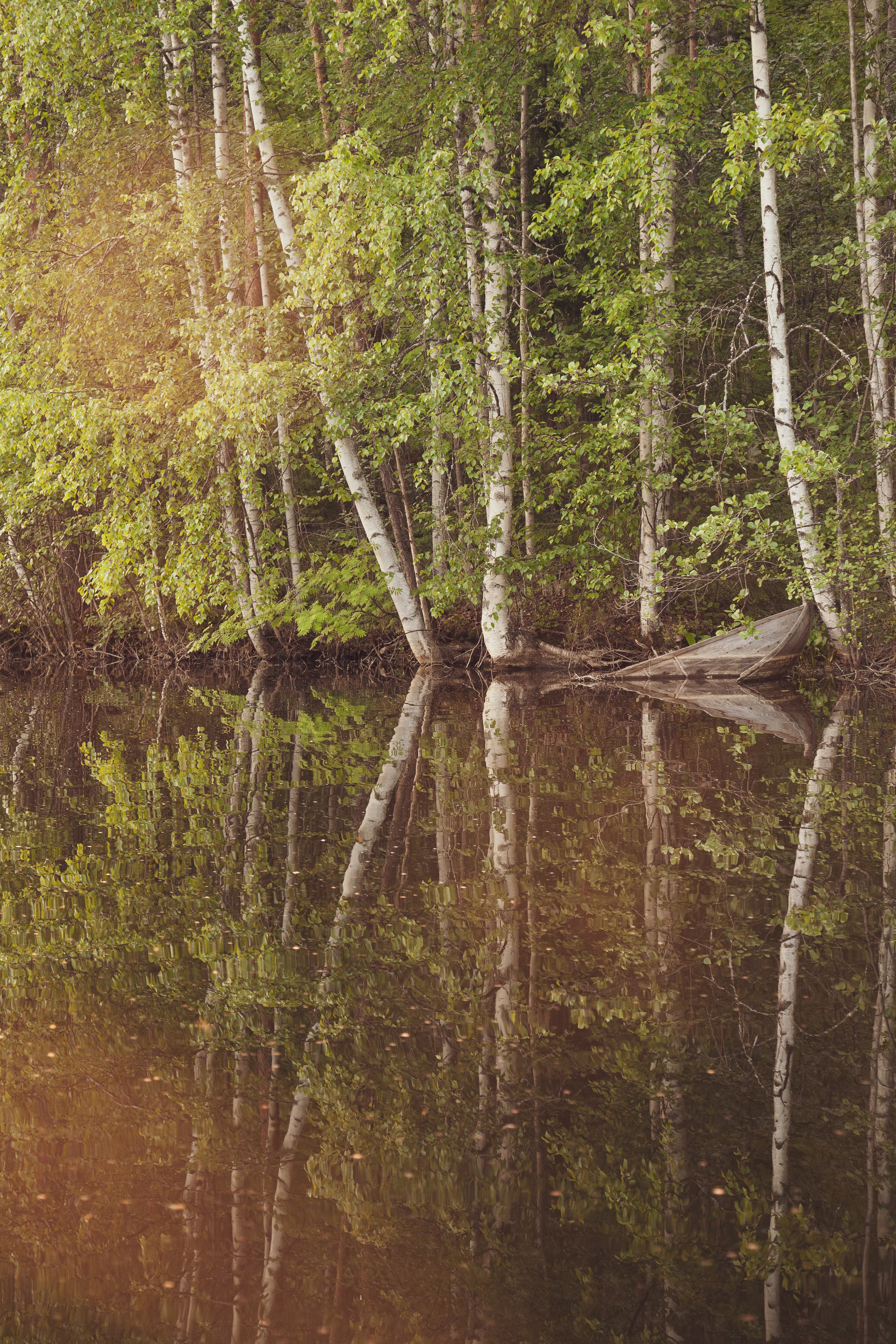 Photo by nick_brookenheimer