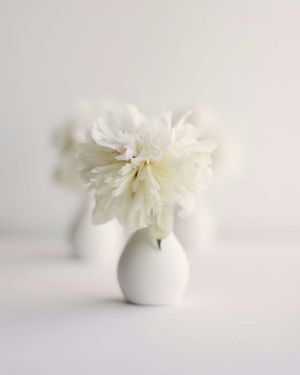 a white vase with a white flower in it