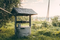 Finished artesian well with water flowing steadily, framed by natural landscape.