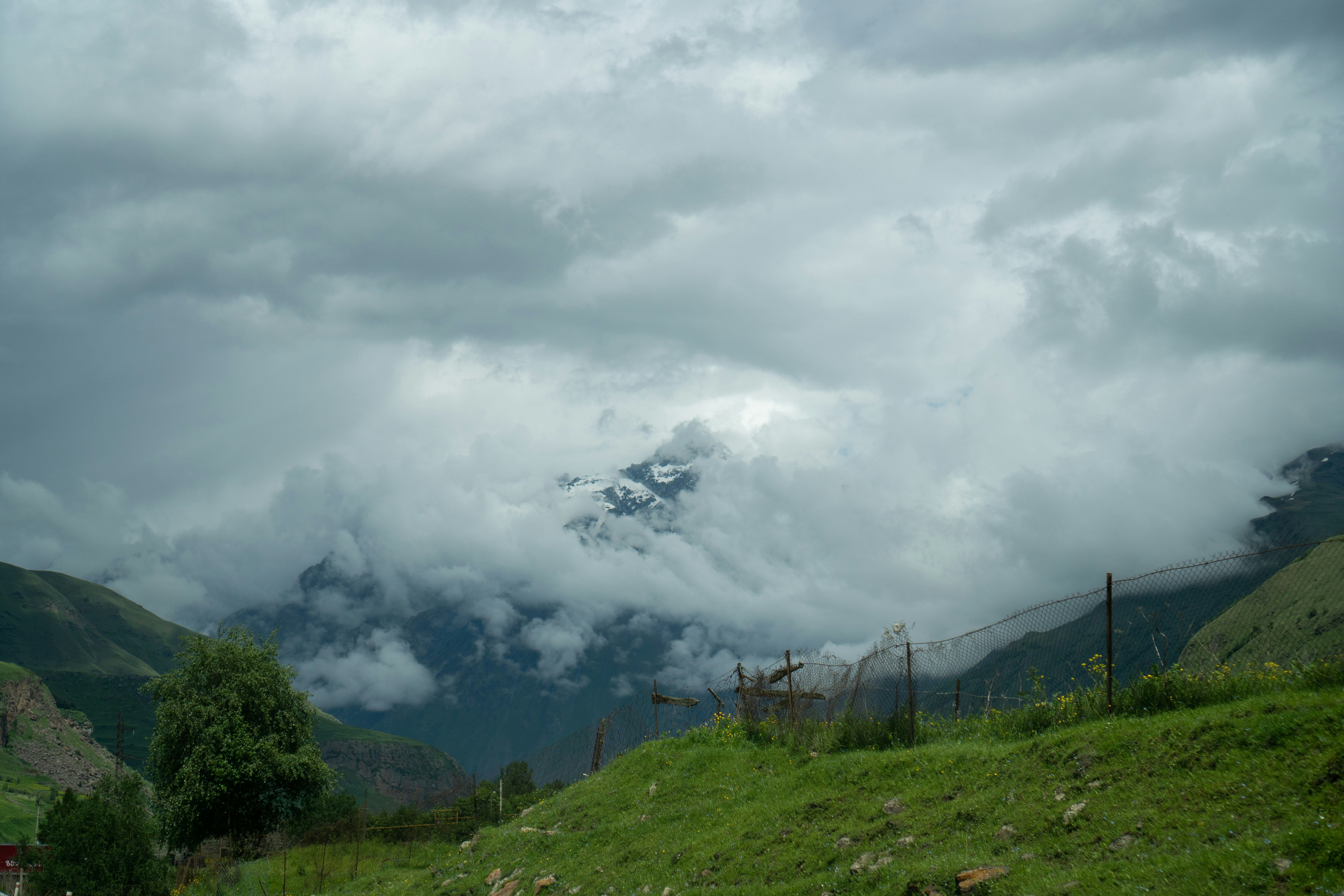 Photo by shabablinchikow