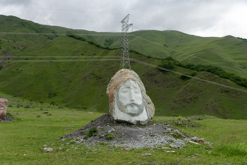 a rock with a face on it in the middle of a field