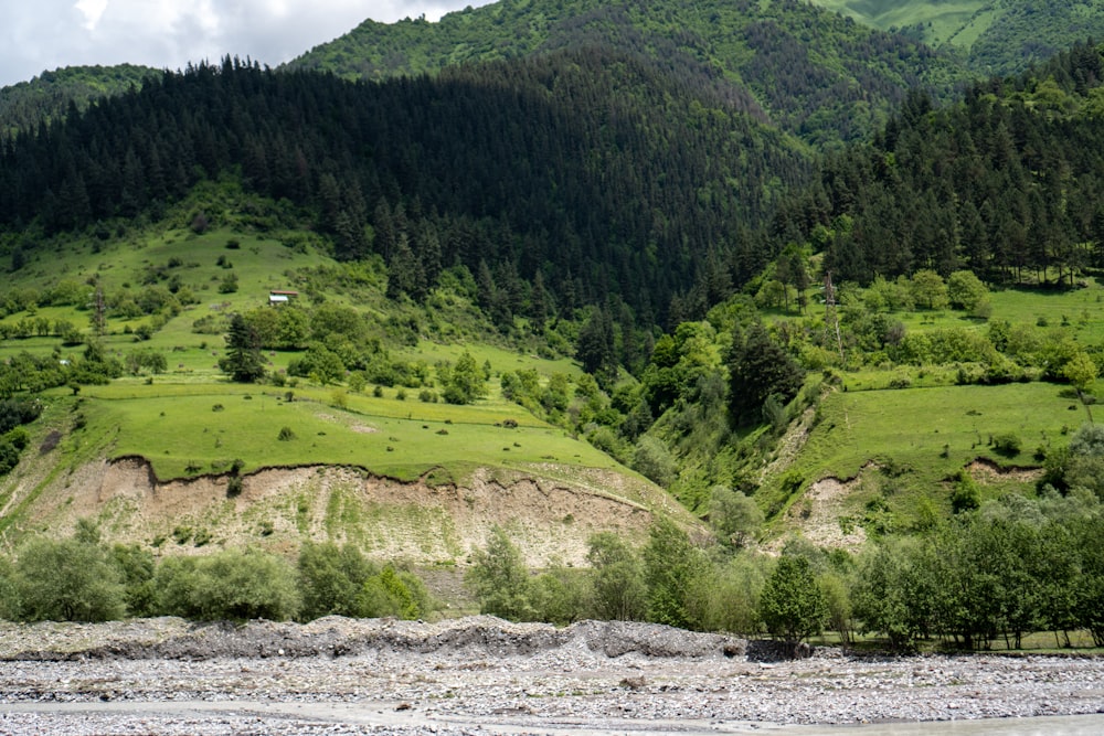 a lush green valley surrounded by mountains and trees