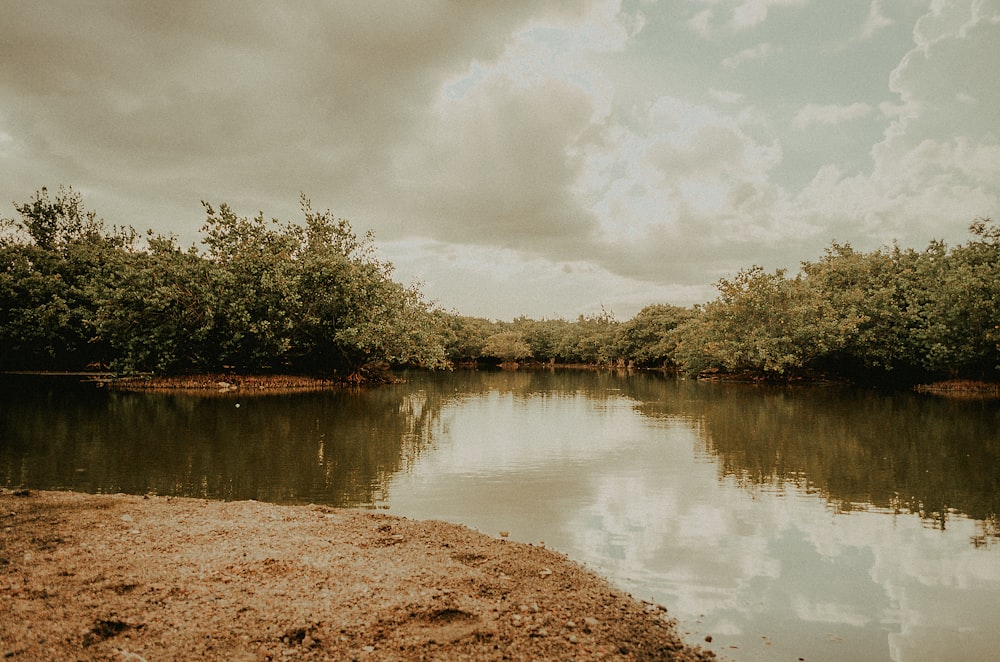 a body of water surrounded by trees under a cloudy sky