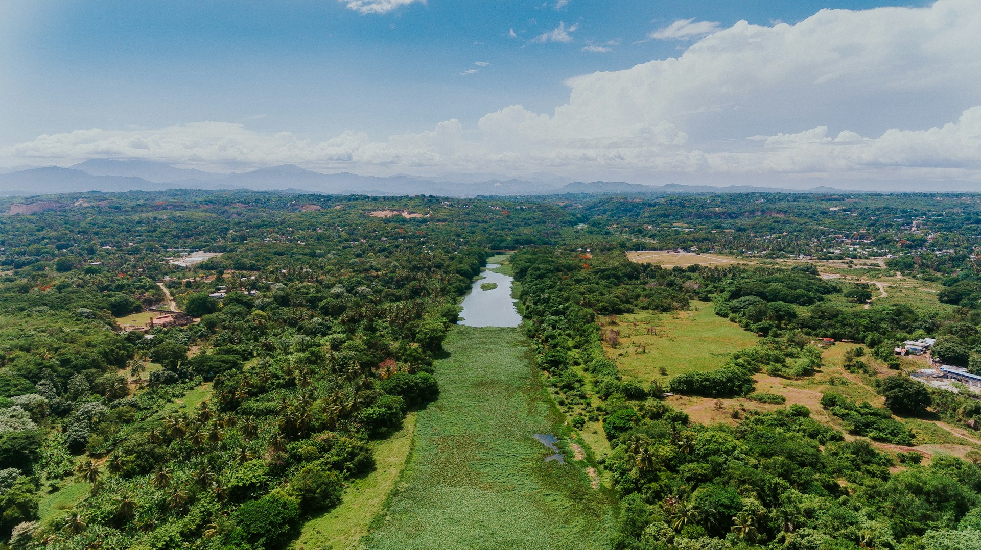 a river running through a lush green forest